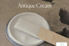 Antique-Cream-lid-600x600px-with-ECOLABEL