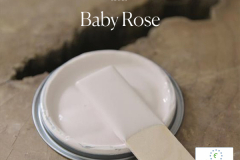 Baby-Rose-lid-600x600px-with-ECOLABEL