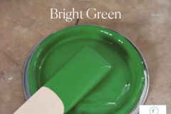 Bright-Green-lid-600x600px-with-ECOLABEL