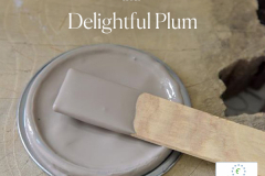 Delightful-Plum-lid-600x600px-with-ECOLABEL
