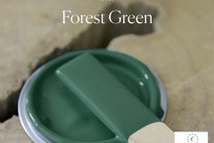 Forest-Green-lid-600x600px-with-ECOLABEL